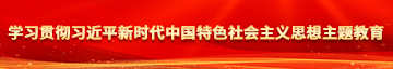 找一下国产操逼逼学习贯彻习近平新时代中国特色社会主义思想主题教育